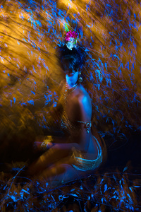 Lord Krishna