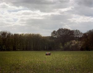 Disconnected #2 © Steve Meyler