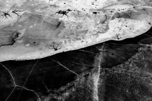 Lakeshore Operations | Dark Series #02