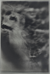 untitled from the series "Waiting for the Awakening"