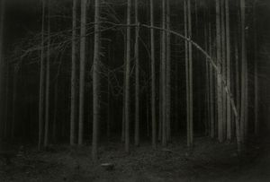 winner of photography awards