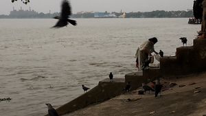City of joy, city of crows