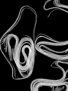 Conception