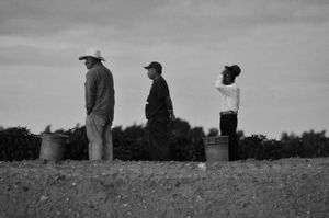 Workers waiting for it to be early enough to begin picking chiles. © Joseph Sorrentino