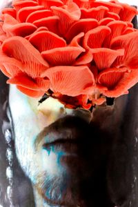 Inconsciente Coletivo (Collective Unconscious)