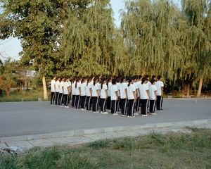 Untitled 12